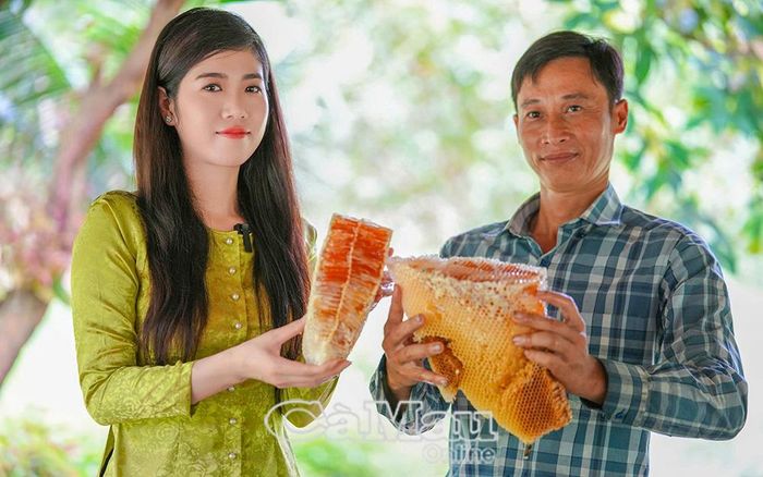 Du khách thích thú trải nghiệm lấy mật ong rừng và thưởng thức mật ong.