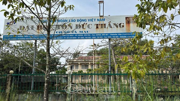Trong số 72 Cơ sở nhà, đất đã hoàn thành xử lý, đưa vào khai thác, cơ sở nhà, đất Trường Đại học Tôn Đức Thắng tại Khóm 6, phường An Xuyên đang thực hiện thủ tục mời gọi đầu tư Dự án Trường Phổ thông liên cấp Cà Mau.