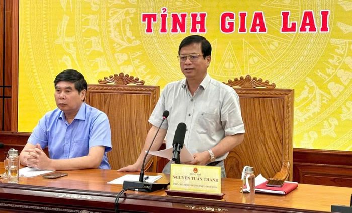  Phó Chủ tịch Thường trực UBND tỉnh Nguyễn Tuấn Thanh kết luận cuộc họp. 