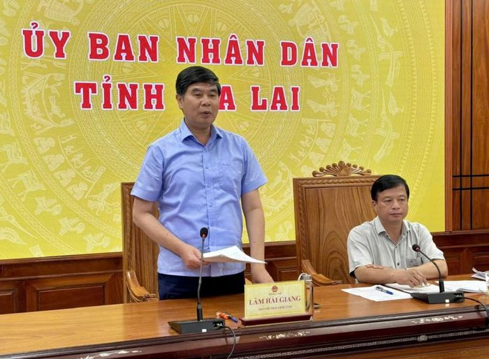  Phó Chủ tịch Lâm Hải Giang phát biểu tại cuộc họp. 
