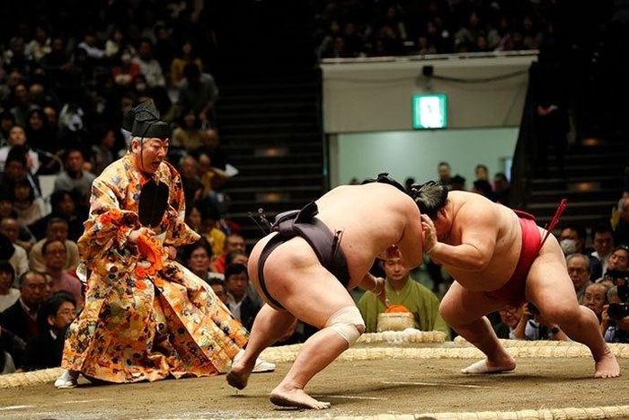 Sumo chuộng những kỹ thuật đẩy, vật trọng tâm thấp để đẩy đối thủ khỏi sân đấu. (Ảnh: iStock)