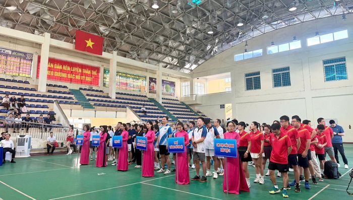 Hội thao được tổ chức trong không khí thi đua phấn khởi hướng tới kỷ niệm Ngày Giải phóng Thủ đô. Ảnh: NT