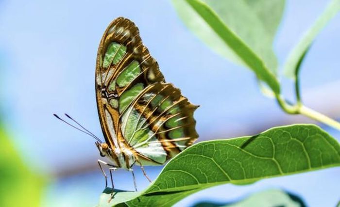 Khả năng dám thử sức cũng khiến người có ngày sinh Âm lịch kết thúc bằng số 7 có cơ hội tiếp cận những hướng đi mà người khác chưa chú ý. Ảnh minh họa