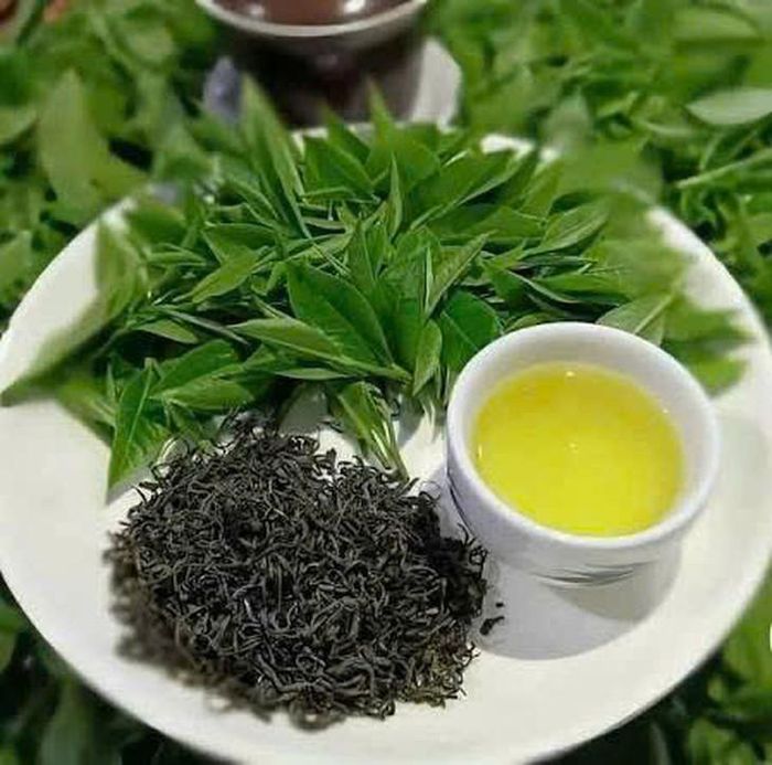 Trà xanh thường được biết đến với khả năng cải thiện chức năng gan. Ảnh: Thái Nguyên.
