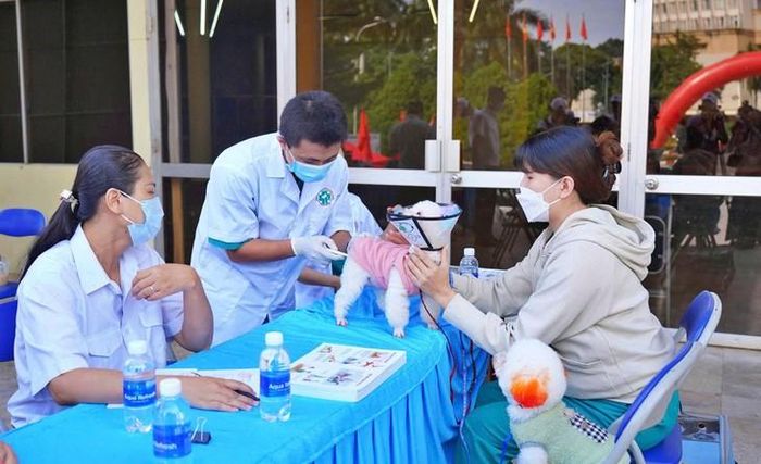 Thực hành tiêm phòng cho vật nuôi để phòng bệnh dại. Ảnh: Hương Giang.