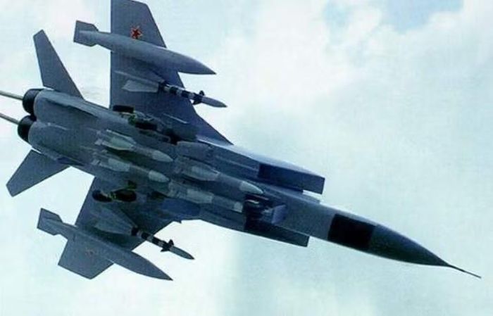 Nhiệm vụ chính của tiêm kích MiG-31 là chống lại các máy bay mang tên lửa chiến lược, máy bay trinh sát và các điểm kiểm soát, cũng như đánh chặn tên lửa hành trình mang đầu đạn hạt nhân.
