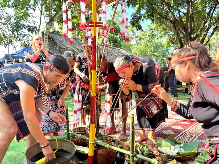 Sau nghi lễ, mọi người trong buôn làng cùng nhau thưởng thức rượu cần