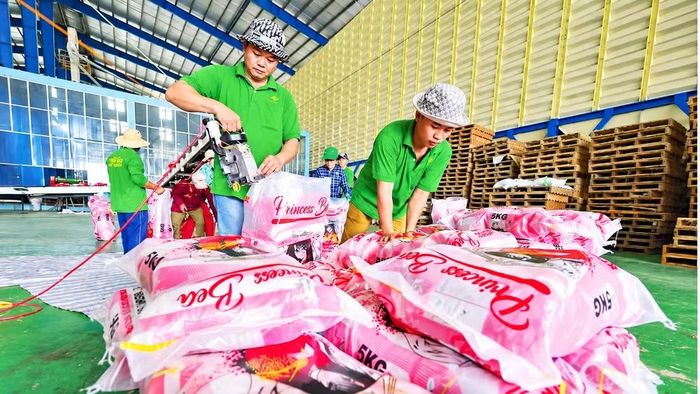 Đóng gói gạo xuất khẩu tại Công ty Trách nhiệm hữu hạn Xuất nhập khẩu Chơn Chính (tỉnh Đồng Tháp). (Ảnh: KHÁNH AN)