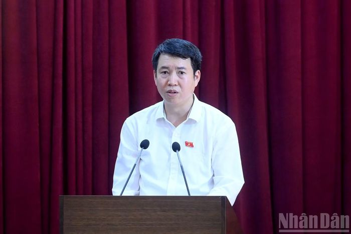 Đại biểu Quốc hội Nguyễn Hoàng Trường phát biểu báo cáo tổng hợp các ý kiến kiến nghị của cử tri gửi các Đại biểu Quốc hội.
