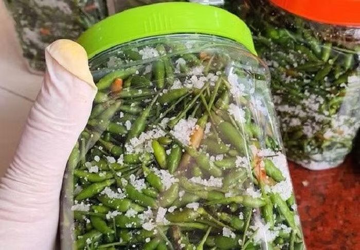 Cận Tết, khi nguồn hàng khan hiếm, giá bán ớt gió có thể tăng lên khoảng 1 triệu đồng/kg.