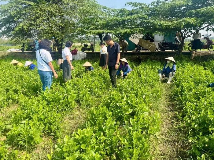 Phụ huynh tham gia giám sát an toàn thực phẩm ngay từ trang trại.