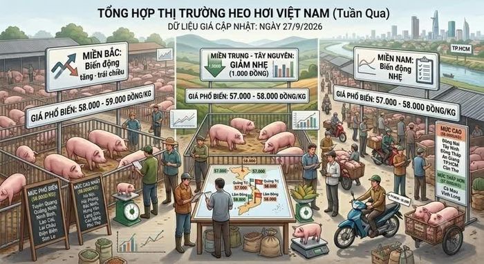 Giá heo hơi hôm nay 27/9, khu vực miền Bắc và miền Trung - Tây Nguyên ghi nhận nhiều địa phương điều chỉnh giảm 1.000 đồng/kg. (Ảnh do AI tạo)