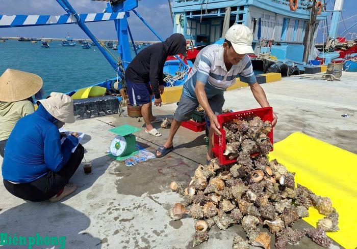 Hải sản tươi ngon phục vụ khách du lịch. Ảnh: Lệ Giang