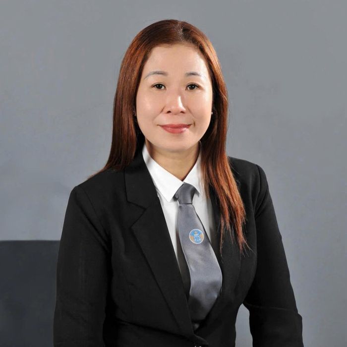 Luật sư Đào Thị Bích Liên, Văn phòng Luật sư Hà Hải và Cộng sự