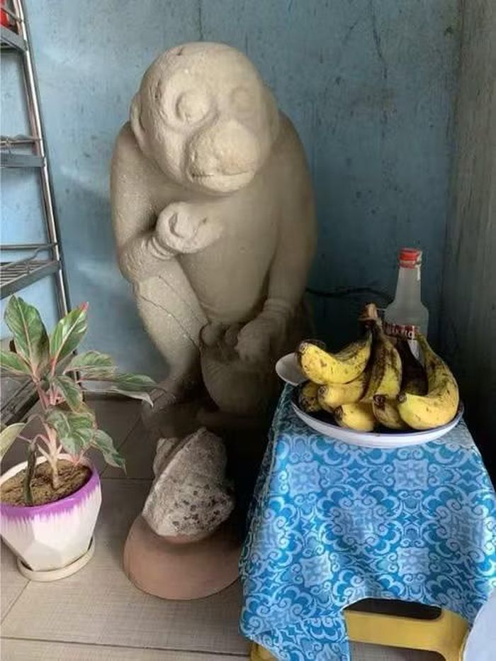 Tượng thần khỉ Hanuman được ông Lục phát hiện khi đi bắt cá.