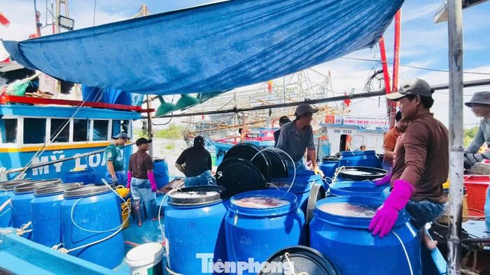 Tàu KH 93539 TS của ngư dân Võ Văn Lua (tỉnh Khánh Hòa) vừa cập cảng Tịnh Kỳ với khoảng 10 tấn cá cơm.