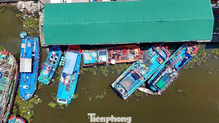 Việc cá cơm xuất hiện dày trái mùa đang giúp nhiều tàu có sản lượng cao, ngư dân tăng thu nhập sau mỗi chuyến biển.