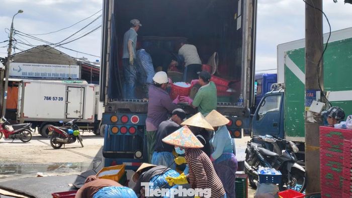 Theo các thương lái và cơ sở thu mua, cá cơm cập cảng được tiêu thụ gần như hết trong ngày. Một số được đưa đến các tỉnh lân cận để làm nguyên liệu sản xuất nước mắm, số còn lại đưa lên chợ, cơ sở hấp, phơi khô.