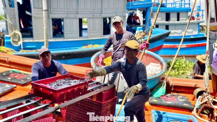 “Tuy nhiên nghề đánh bắt cá cơm rất vất vả, bởi ngư dân phải làm việc trắng đêm, nhưng bù lại lợi nhuận cao, nên ngư dân rất phấn khởi”, anh Xí nói.