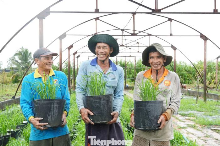Để đảm bảo hoàn thành nhiệm vụ, Trại thực nghiệm 1 đã huy động khoảng 30 cán bộ, nhân công tham gia các khâu từ chuẩn bị mạ, làm đất, cấy đến chăm sóc, phòng trừ sâu bệnh… Các chậu lúa đang được chăm sóc theo đúng giai đoạn sinh trưởng, đảm bảo khi đưa vào trưng bày sẽ đạt hình thái đồng đều, đẹp mắt, góp phần tạo điểm nhấn tại Festival.