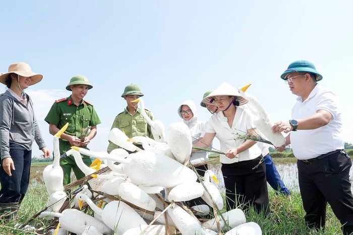  Vào mùa chim di cư, tình trạng bẫy, bắt chim hoang dã lại xuất hiện tại một số khu vực ở Hà Tĩnh. Tại xã Cổ Đạm đã tổ chức kiểm tra, tháo dỡ và tiêu hủy hơn 5.000 que nhựa, 550 chim tạc xốp, 10 chòi bẫy cùng nhiều dụng cụ như lưới, cọc, loa phát tiếng chim; đồng thời thả hơn 20 chim mồi về tự nhiên. 
