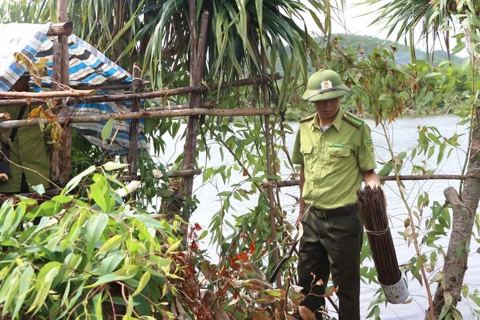 Tại khu vực đập Khe Còi, xã Kỳ Xuân, Công an xã phối hợp Ban Chỉ huy Quân sự xã và Hạt Kiểm lâm Kỳ Anh kiểm tra, tháo dỡ nhiều dụng cụ, phương tiện phục vụ bẫy, bắt chim hoang dã.