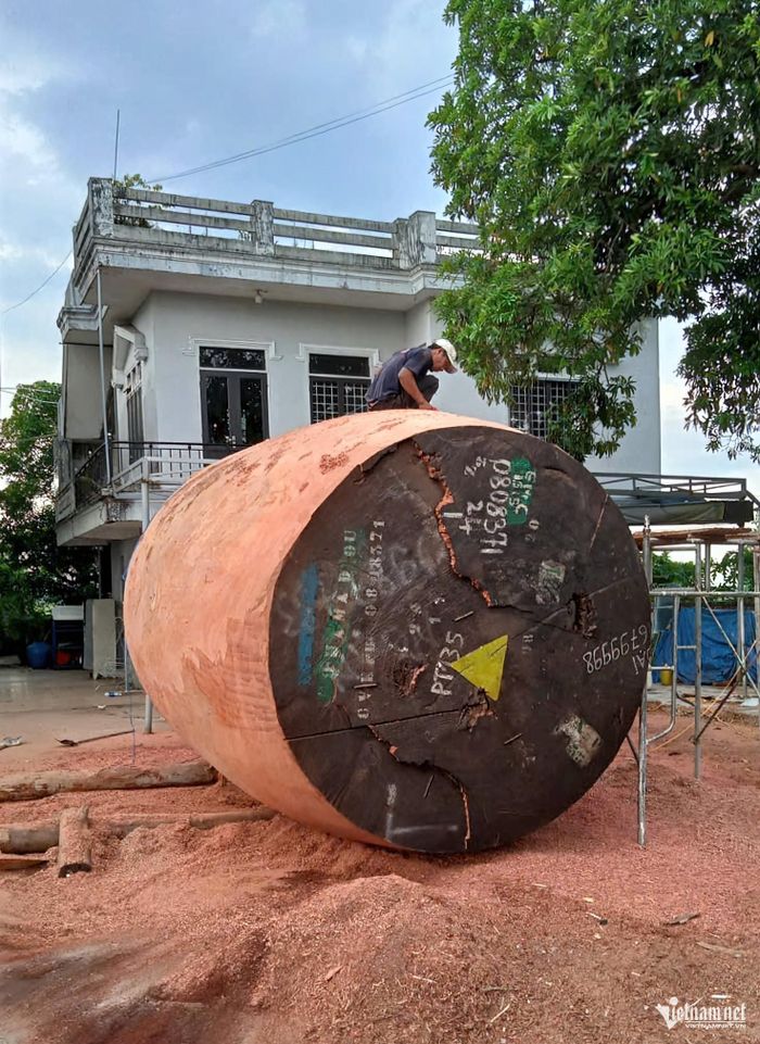 Một khối gỗ lớn đang được thợ xẻ để tạo phôi thân trống.