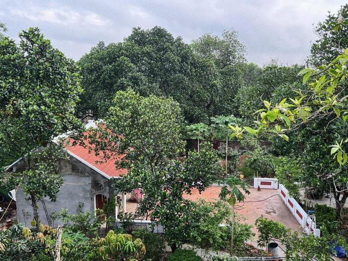 Chị Mai cho biết, trước đây, bây giờ và sau này, ngôi nhà của ông bà để lại vẫn là một phần không thể thiếu của gia đình