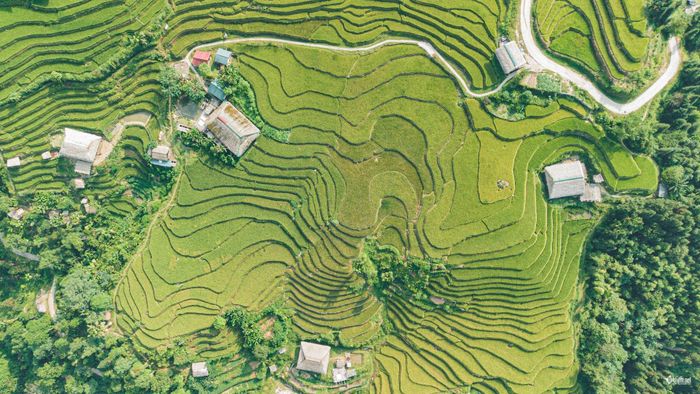 Những hình ảnh về mái nhà phủ rêu xanh, ruộng bậc thang và cuộc sống của người Dao Xà Phìn được chia sẻ rộng rãi, giúp nơi đây được nhiều du khách biết đến hơn. Du lịch phát triển cũng mở thêm cơ hội để người dân có thêm việc làm, tăng thu nhập và từng bước nâng cao đời sống.