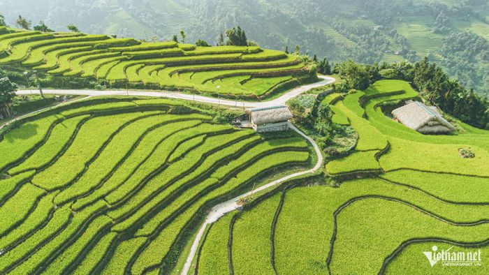 Những thửa ruộng bậc thang hùng vĩ trải dài theo sườn núi là thành quả canh tác hàng trăm năm của người Dao.