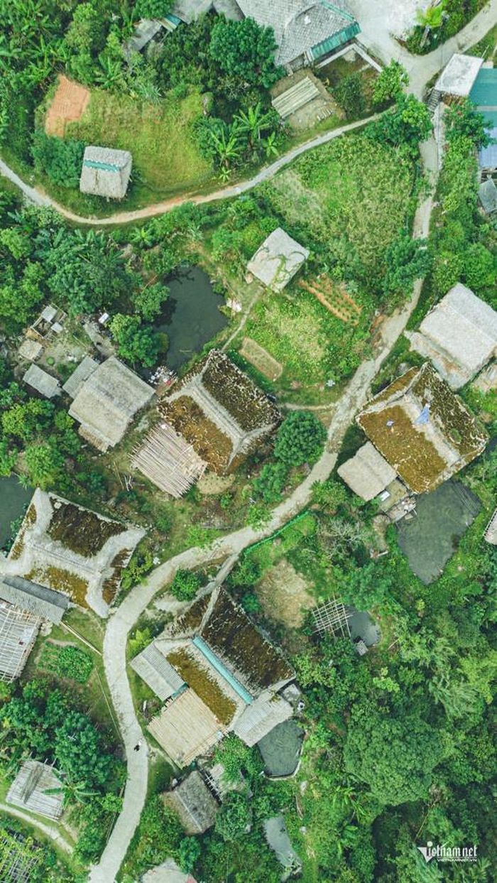 Màu rêu xanh trên những mái nhà hòa vào sắc xanh của núi rừng, nương ngô, ruộng lúa, tạo nên một tổng thể hài hòa giữa kiến trúc và cảnh quan tự nhiên. Khi lúa vào mùa chín, những mái nhà phủ rêu lại nổi bật giữa sắc vàng của ruộng bậc thang, khiến Xà Phìn mang một vẻ đẹp vừa hùng vĩ, vừa yên bình.