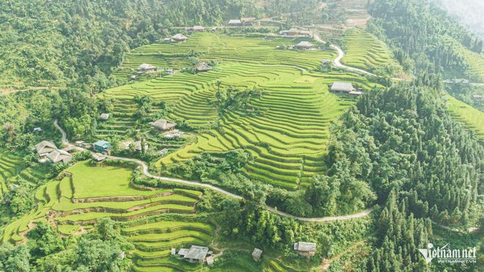 Không chỉ nổi tiếng với những mái nhà lợp lá cọ phủ rêu xanh, Xà Phìn còn cuốn hút bởi những cung ruộng bậc thang uốn lượn theo sườn núi, tạo nên cảnh sắc đặc trưng của vùng cao.