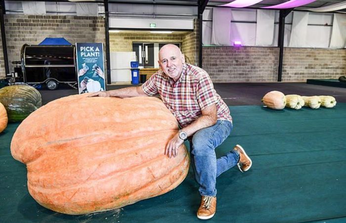 Graham Barratt cùng quả bí ngô nặng 465,5kg. Ảnh: SWNS