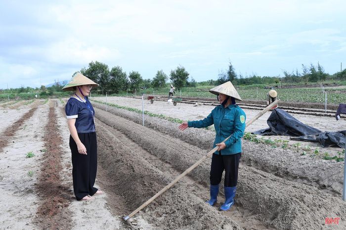 Cán bộ chuyên môn ở xã Đồng Tiến (Hà Tĩnh) thường xuyên thăm đồng, động viên nông dân theo dõi chặt chẽ thời tiết để xuống giống các loại cây trồng vụ đông.