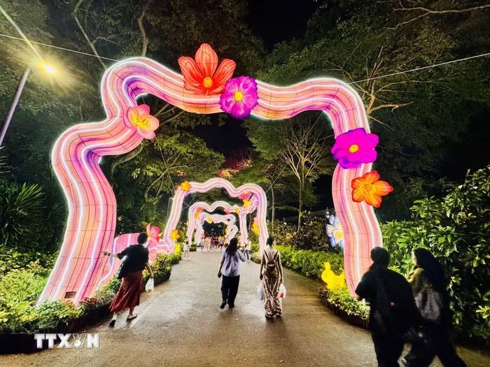 Hành trình Kỳ diệu - lần theo dấu vết của những đóa hoa rực rỡ và ánh đèn lồng lung linh để bước vào khu vườn kỳ diệu. (Ảnh: Đỗ Vân/TTXVN)