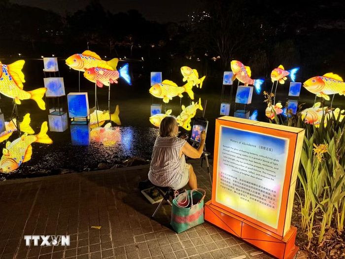Thư giãn cùng tác phẩm nghệ thuật bên hồ Resthouse với những chú cá Koi sặc sỡ. (Ảnh: Đỗ Vân/TTXVN)