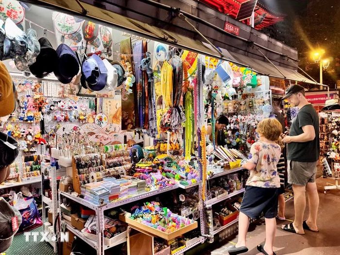 Đa dạng các mặt hàng đồ chơi Trung thu tại China Town. (Ảnh: Đỗ Vân/TTXVN)