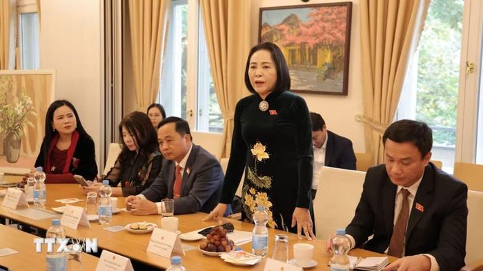 Phó Chủ tịch Quốc hội Nguyễn Thị Thanh phát biểu khi tới thăm Đại sứ quán Việt Nam tại Đức. (Ảnh: Thu Hằng/TTXVN)
