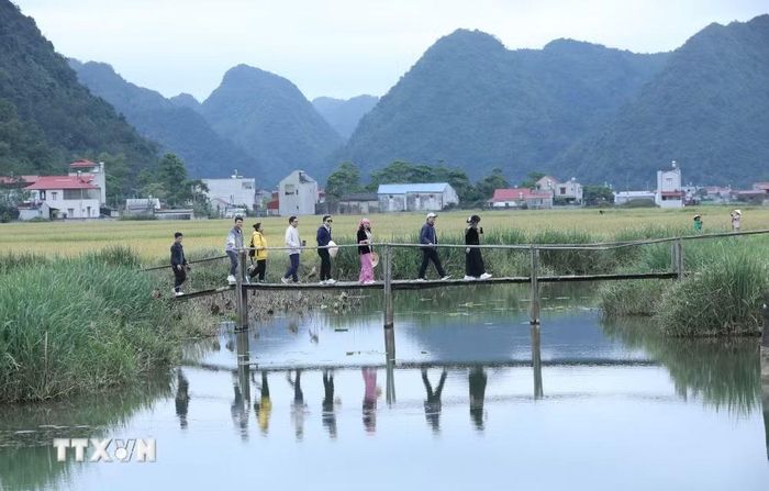 Du khách tham quan thung lũng Bắc Sơn mùa lúa chín. (Ảnh: Anh Tuấn/TTXVN)
