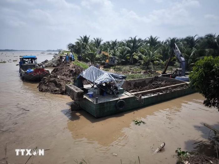 Phương tiện cơ giới đắp lại tuyến đê bao bị sạt lở . (Ảnh: Huỳnh Phúc Hậu/TTXVN)