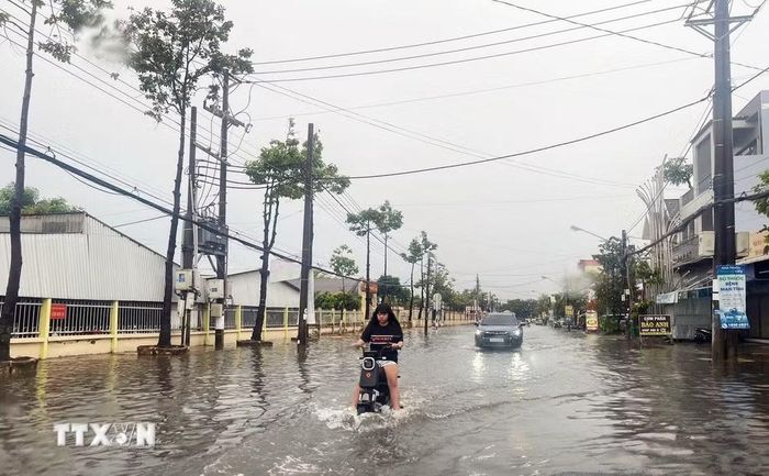 Đợt mưa lớn vừa qua không chỉ gây ngập cục bộ tại các địa phương vùng sản xuất mà còn ở trung tâm nội ô tỉnh Cà Mau. (Ảnh: Huỳnh Anh/TTXVN)