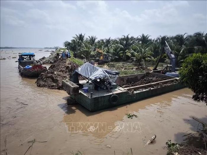 Phương tiện cơ giới đắp lại tuyến đê bao bị sạt lở .