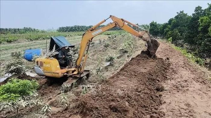 Phương tiện cơ giới đắp lại tuyến đê bao dự phòng khu vực sạt lở tại cồn Cái Gà.