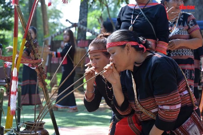 Đồng bào Ba Na thực hiện nghi thức truyền thống trong không gian lễ cầu an, thể hiện sự gắn kết giữa đời sống cộng đồng và tín ngưỡng dân gian.