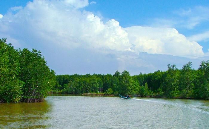 Cảnh đẹp sông nước Cà Mau. Ảnh: Sưu tầm
