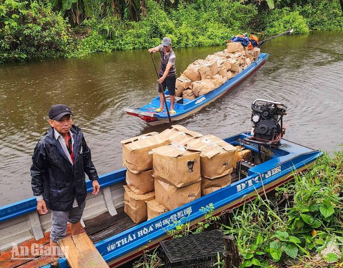 Gừng được vận chuyển nhanh từ rẫy ra điểm tập kết.