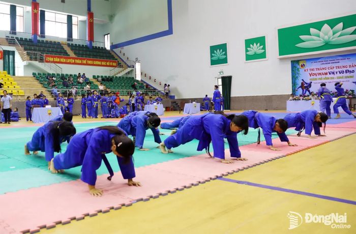 Võ sinh tham gia các nội dung thi. Ảnh: Huy Anh