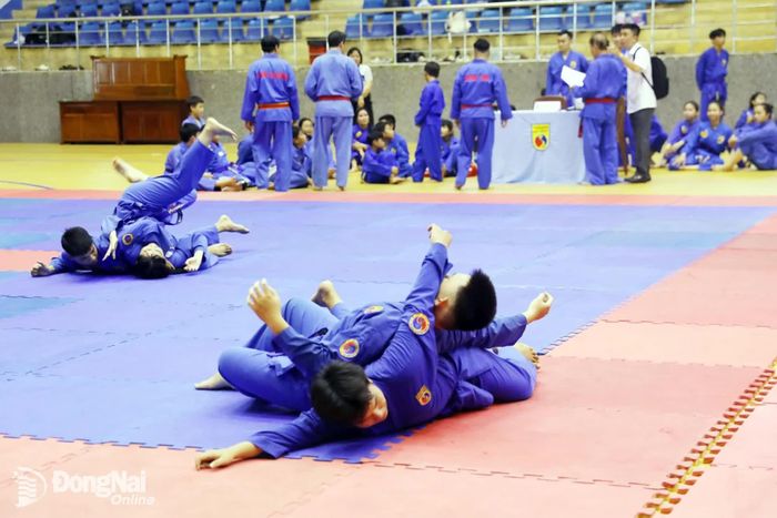 Võ sinh tham gia các nội dung thi. Ảnh: Huy Anh