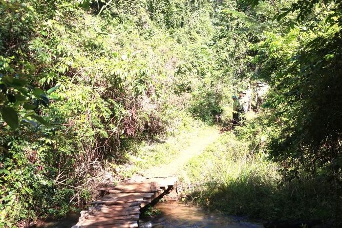 Gia Lai thu hồi hơn 115 ha đất tại xã Pờ Tó, giao địa phương quản lý. Ảnh minh họa: Quang Tấn