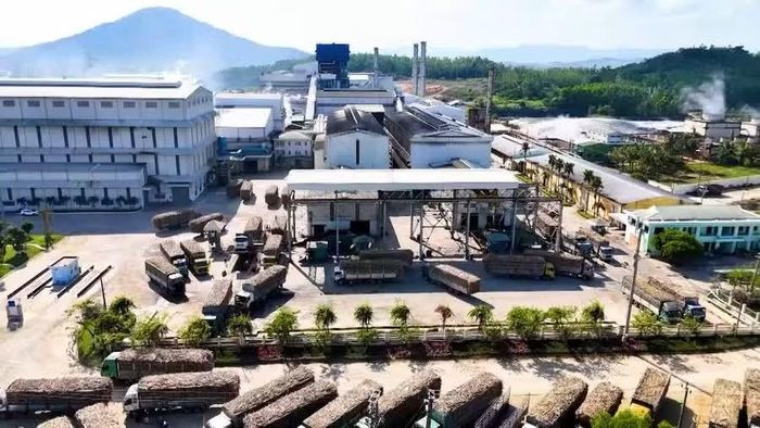 Dự án Nhà máy Ethanol An Khê sử dụng nguồn nguyên liệu mật rỉ mía từ các nhà máy đường tại Gia Lai và khu vực miền Trung - Tây Nguyên. Ảnh: P.L